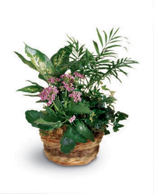 French Garden  from Walker's Flower Shop in Huron, SD